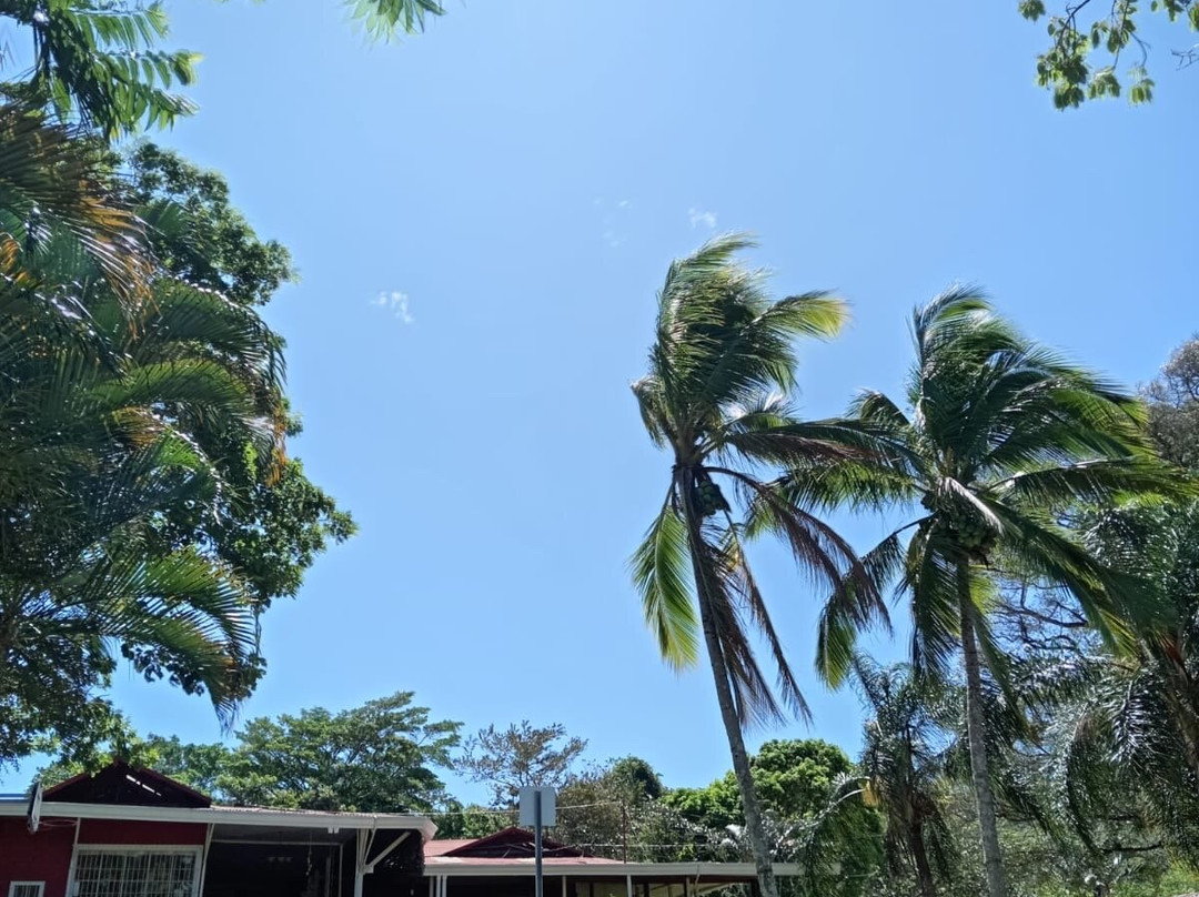 Hotel Hacienda El Rodeo主图