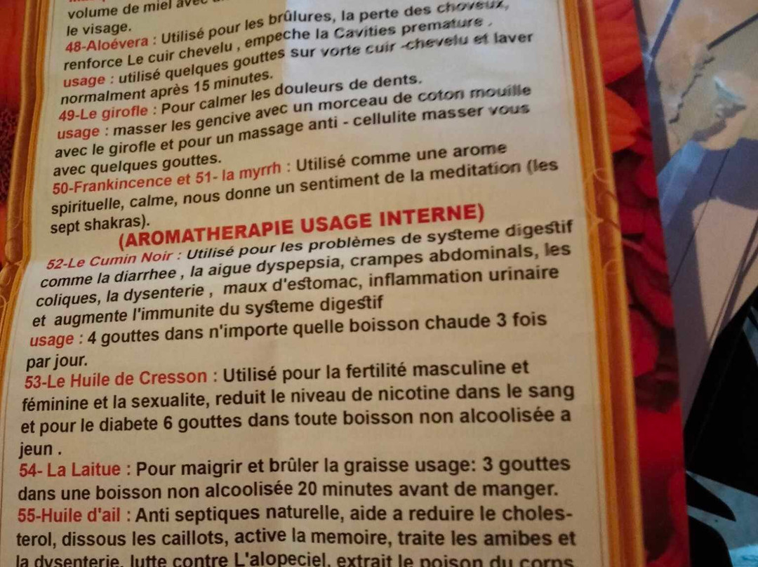 Abu Simbel Perfume Palace-Aswan 1必去景点