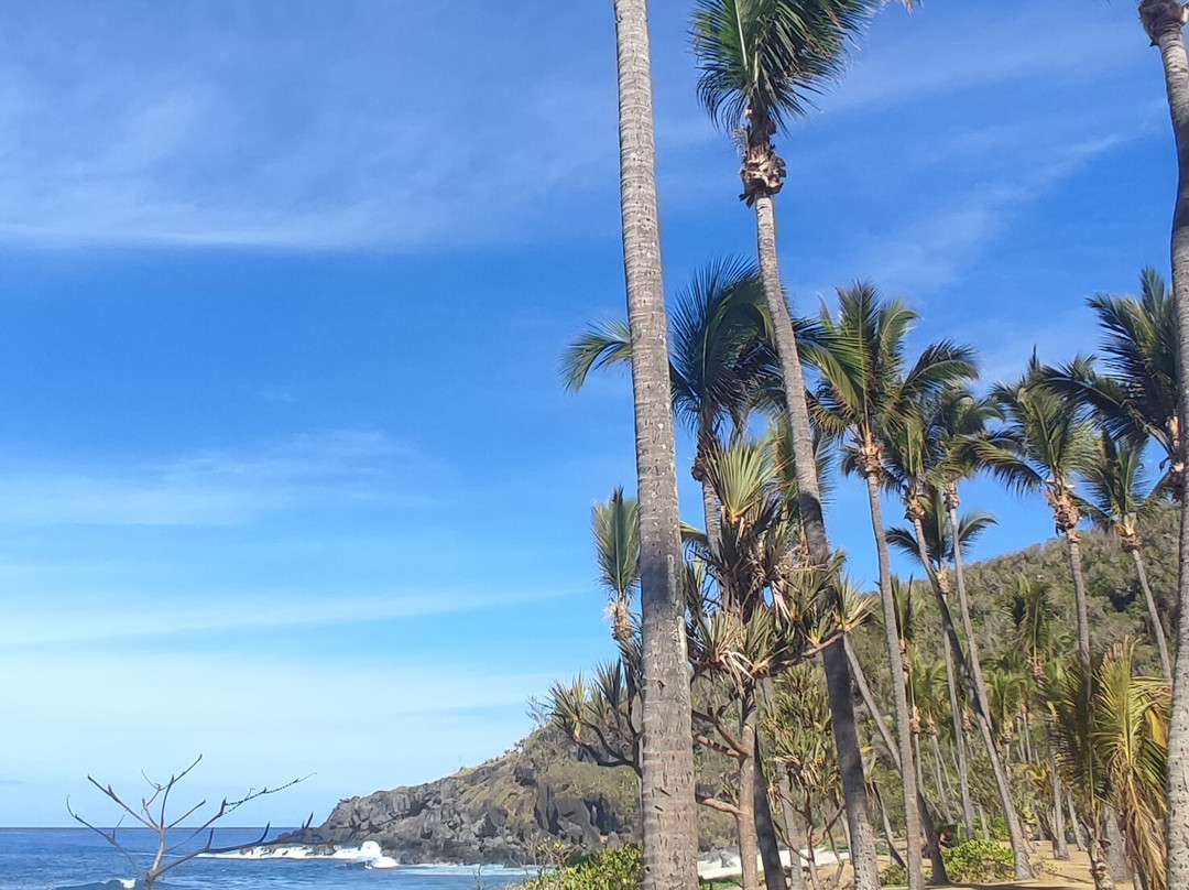 Plage de Grande Anse景点图片