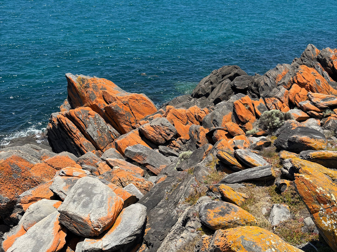 Penneshaw Beach-袋鼠岛必去景点