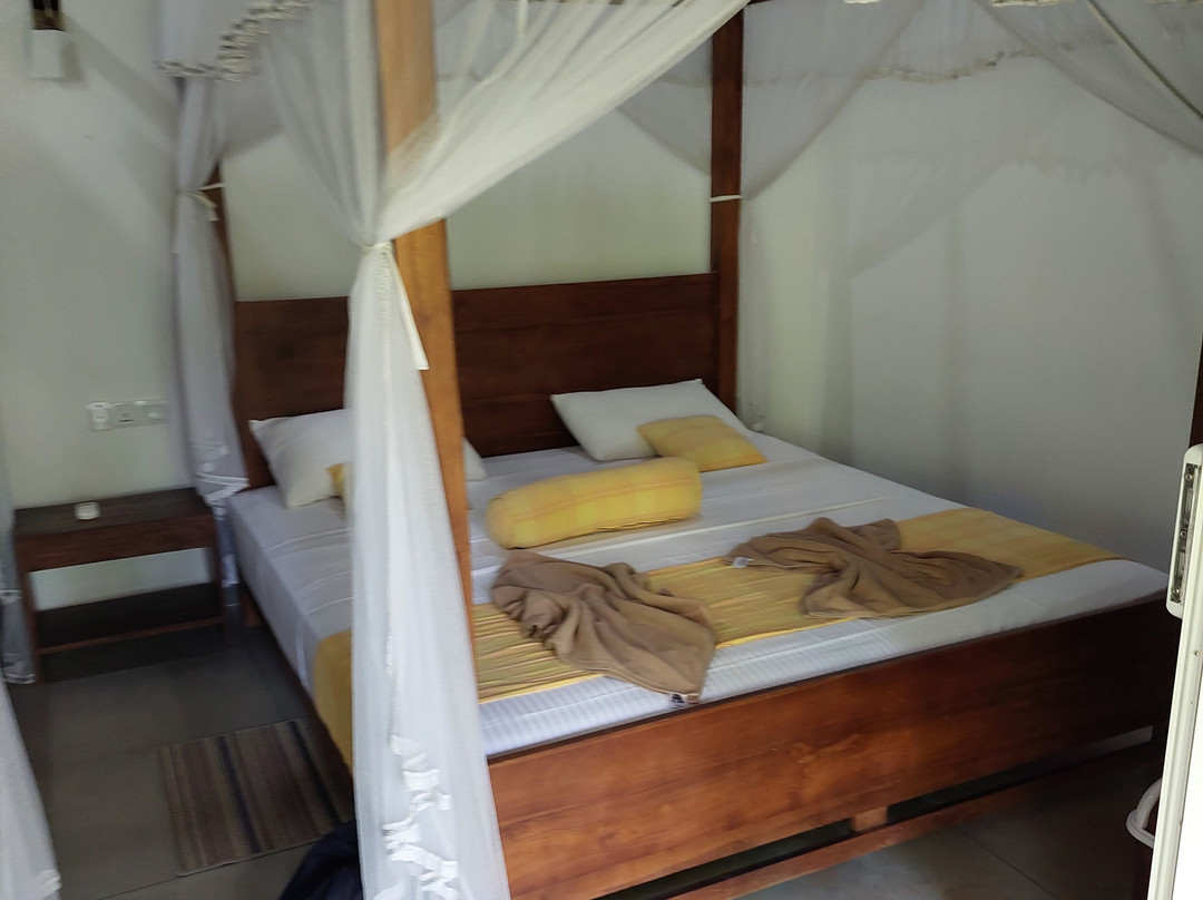 Jungle Paradise主图