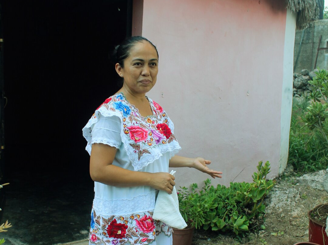 Mayan Ecotours-梅里达必去景点