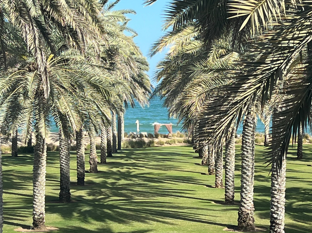 马斯喀特CHEDI 度假酒店主图