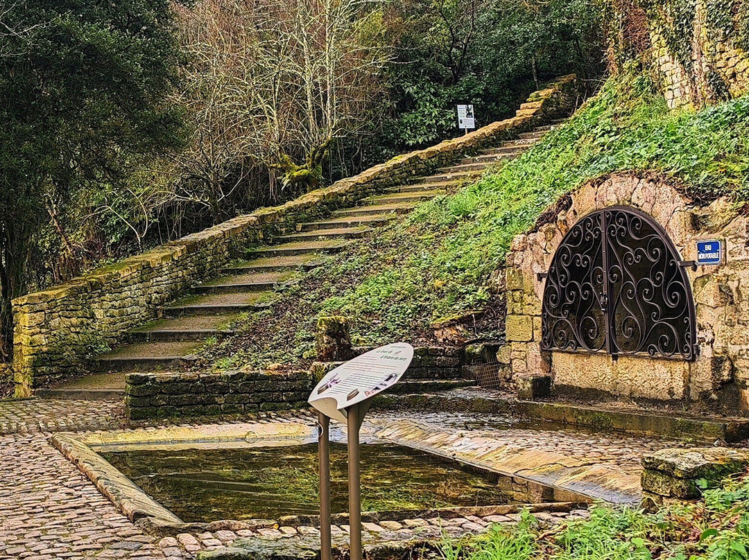 Lavoir De La Fontaine Des Morts-尼奥尔必去景点