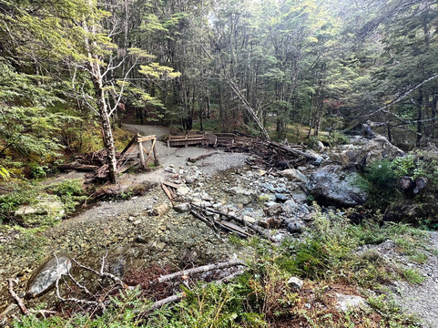 Mt Crichton Loop Track-皇后镇必去景点