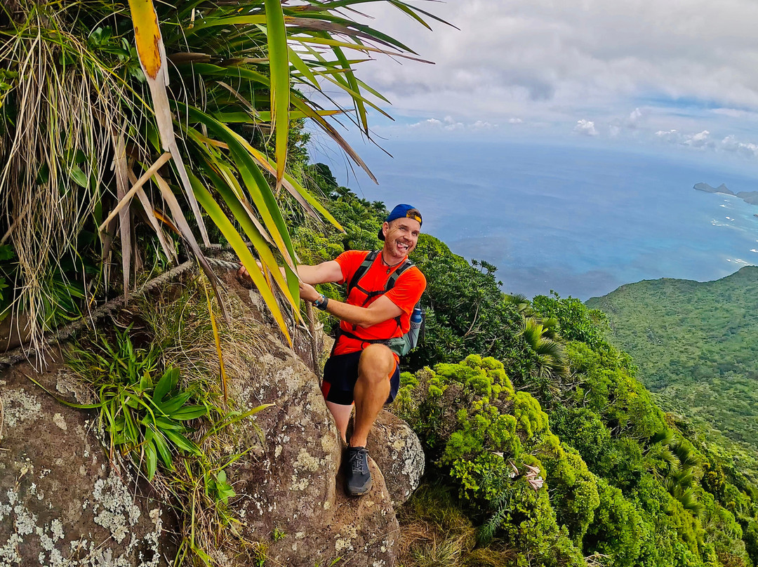 Lord Howe Environmental Tours-豪勋爵群岛必去景点