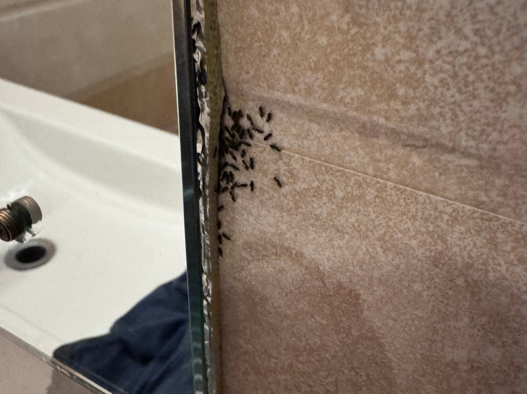 Omega Residence主图