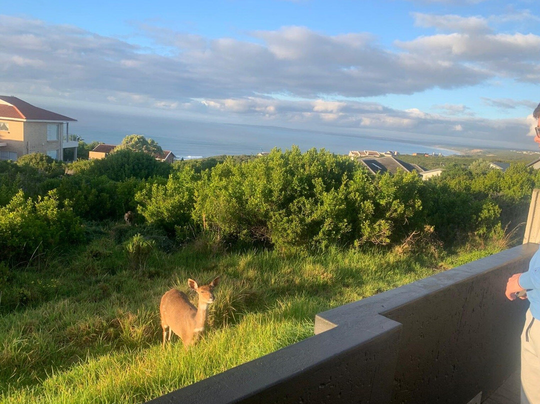 Erika27 - Top B&B Value主图