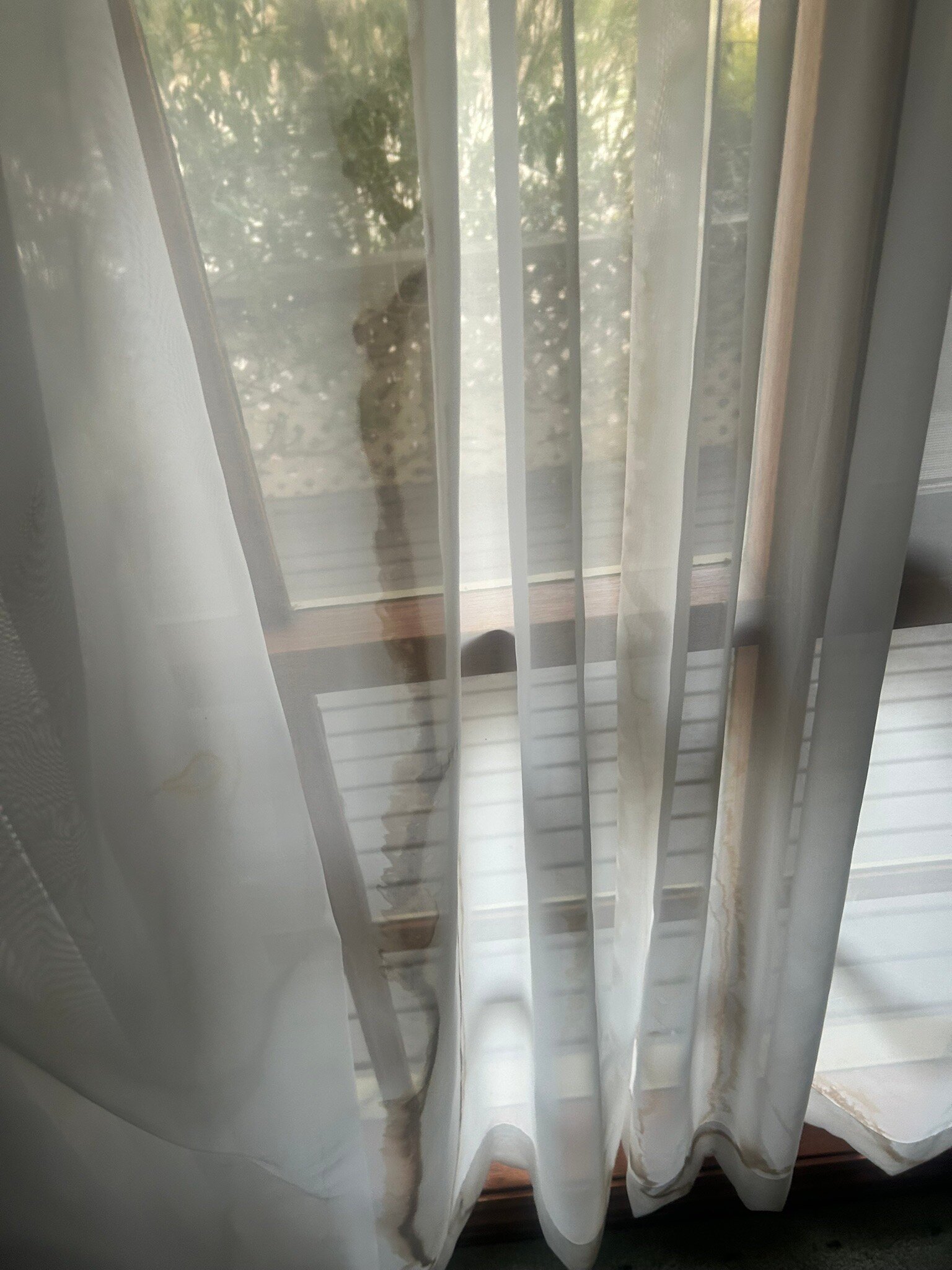 山景汽车旅馆和度假小屋-官方