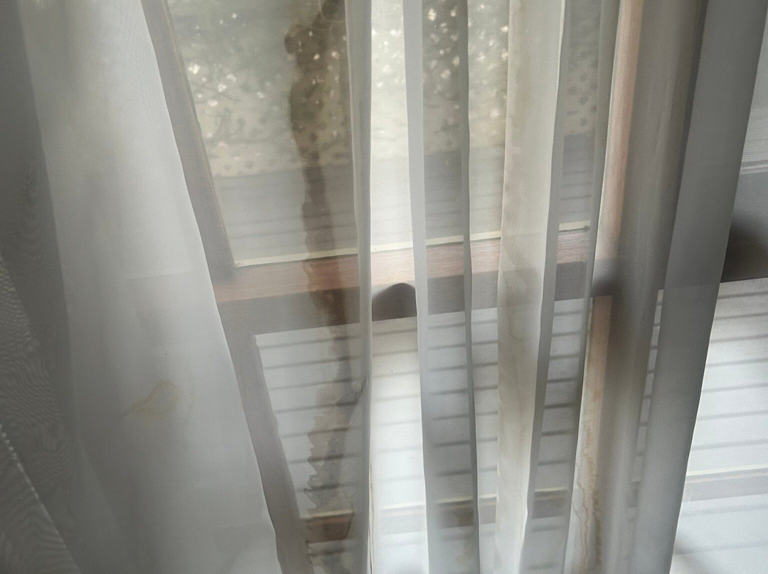 山景汽车旅馆和度假小屋主图