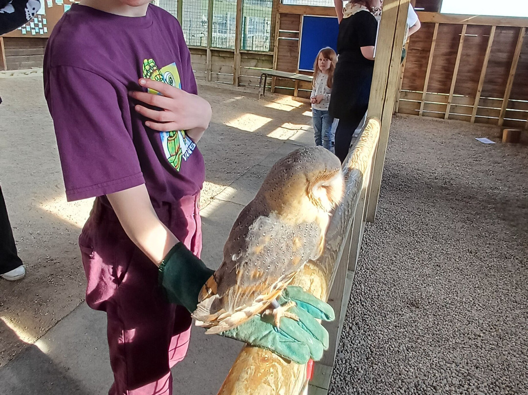 Manor Farm Park & Woodlands景点图片