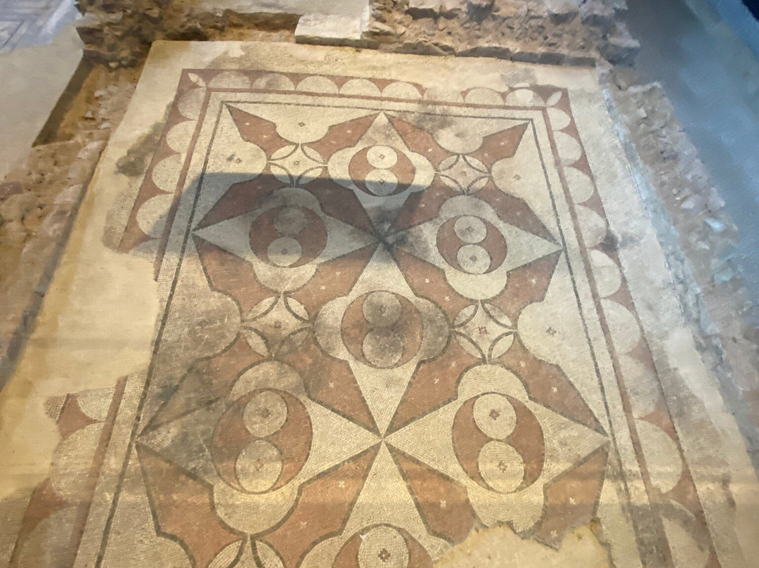 Villa dei Mosaici景点图片
