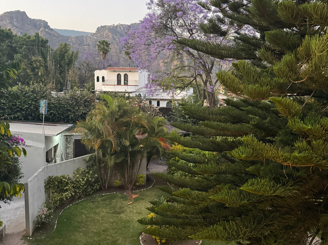 特波兹特兰民宿主图