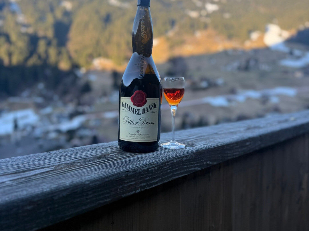 加斯修恩酒店住宿-Monika & Montafon Chalets