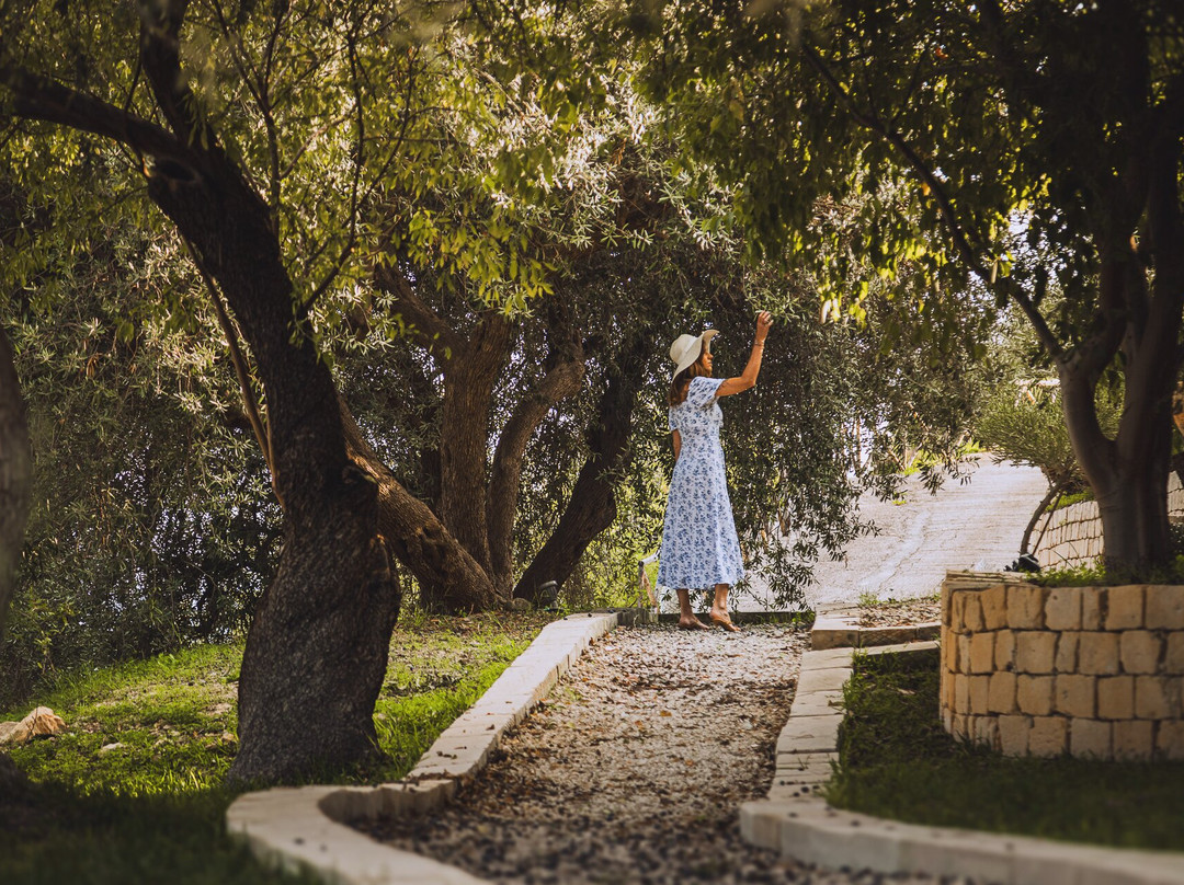 Tenuta Olive Alive - Wellness Hotel主图