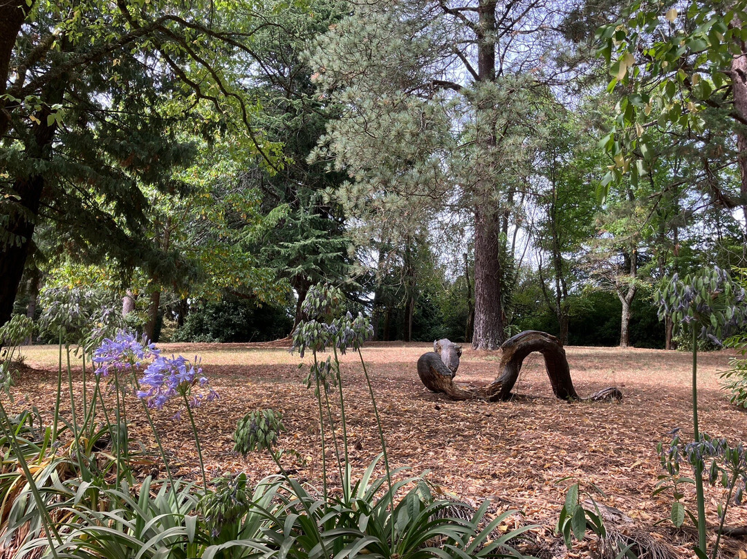 Wombat Hill Botanical Gardens-戴尔斯福特必去景点