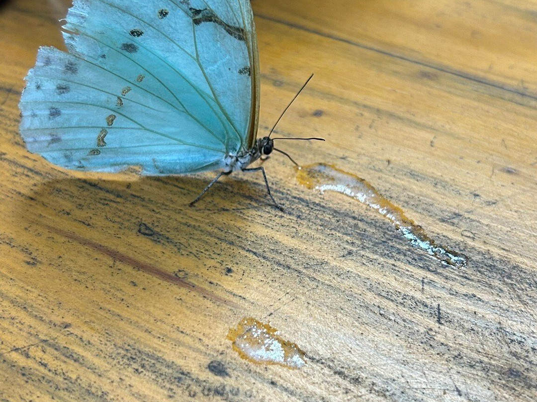 Gard Cervejaria-坎普斯－杜若尔当必去景点