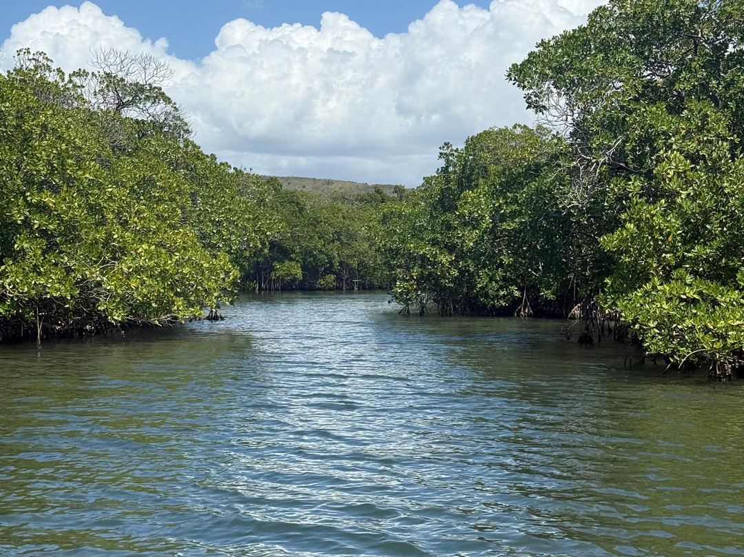 Aleli Tours - Day Tours-La Parguera必去景点