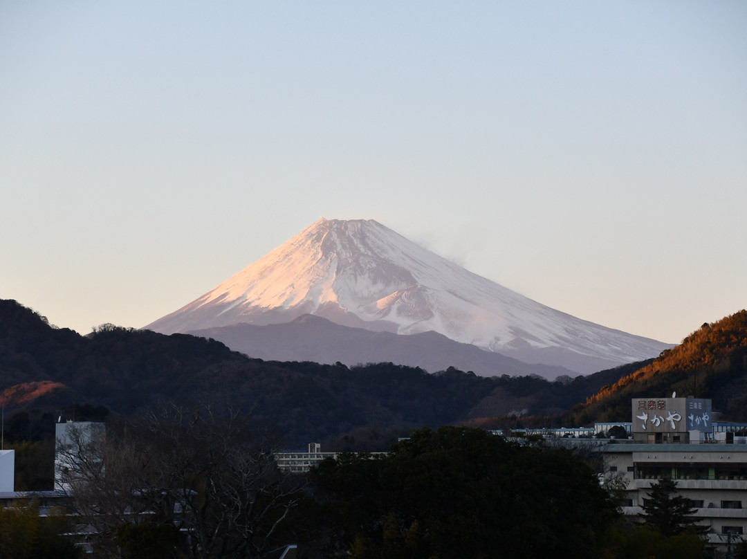 新八景园酒店主图