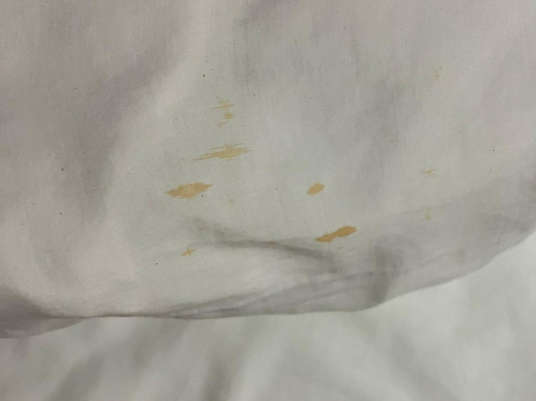 Hotel Puerta Calakmul主图