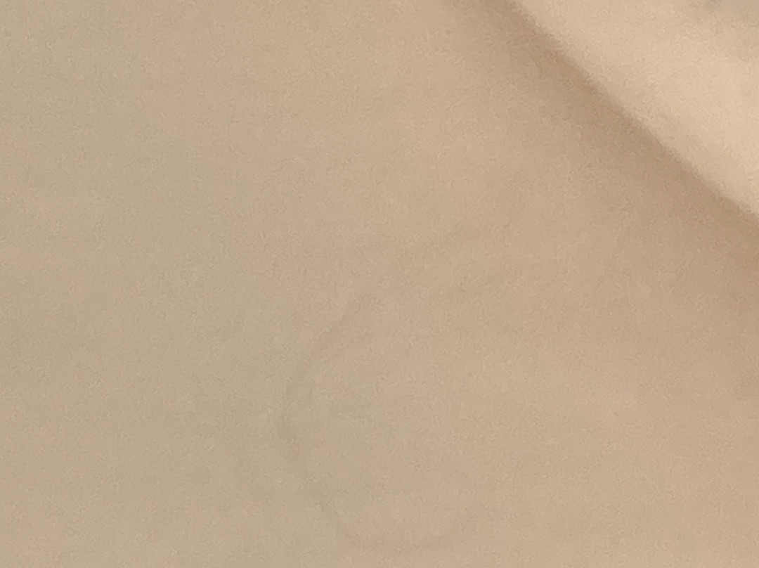 萨拉托加斯普林斯希尔顿花园酒店主图