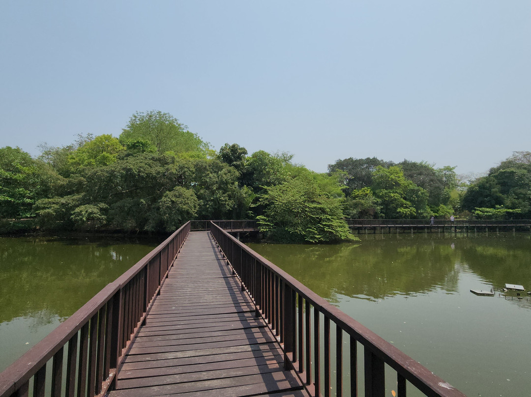 Bangkachao-帕巴登必去景点