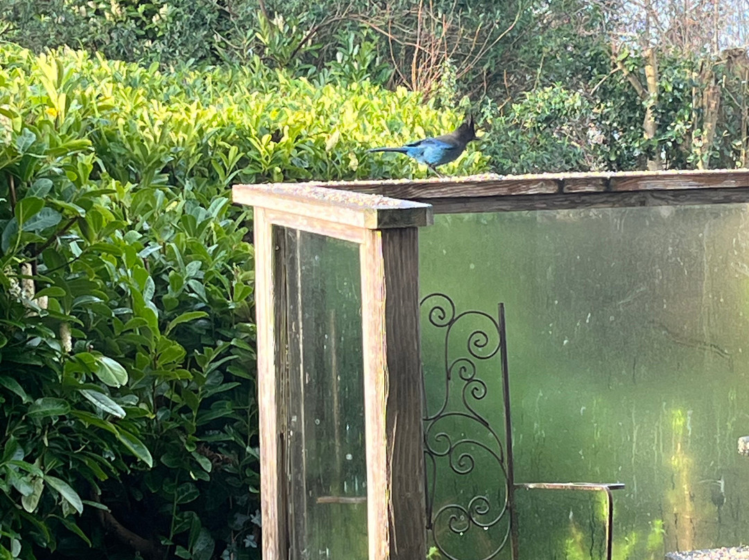 Turtle Rocks Oceanfront Inn主图