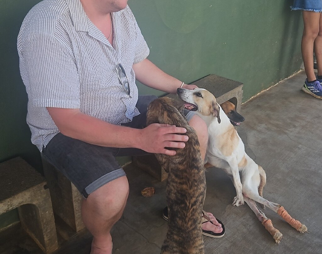 Happy Tails Dog Sanctuary-Baie du Cap必去景点
