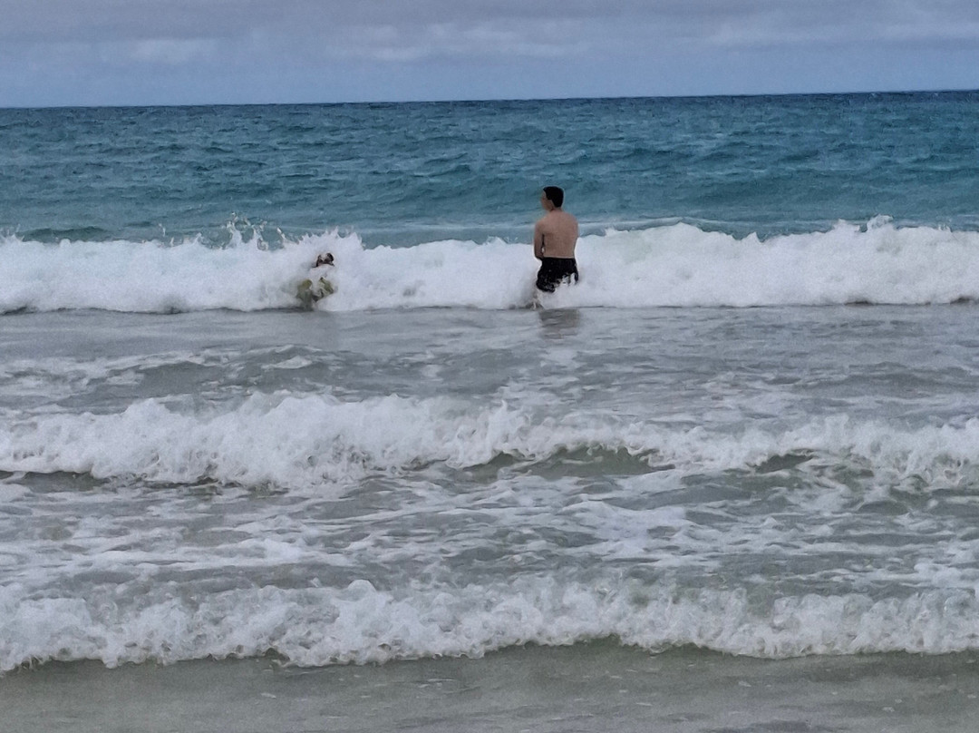 卡拉玛海滩公园-科纳必去景点