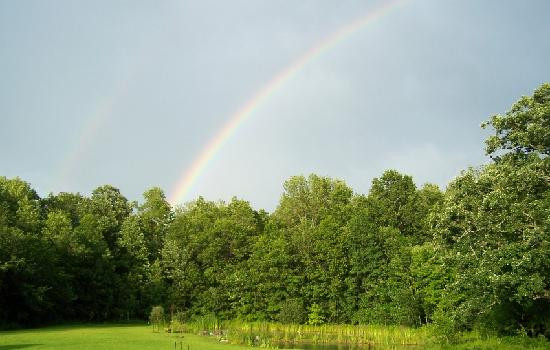 Cartland Estate Bed & Breakfast主图