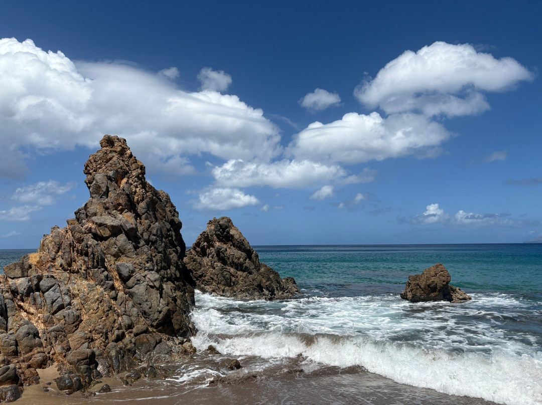 Rendezvous Beach-蒙特塞拉特必去景点