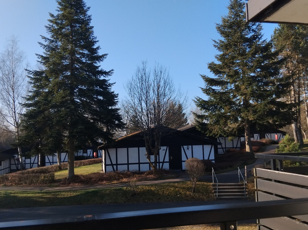 Sporthotel & Resort Grafenwald Daun Vulkaneifel主图