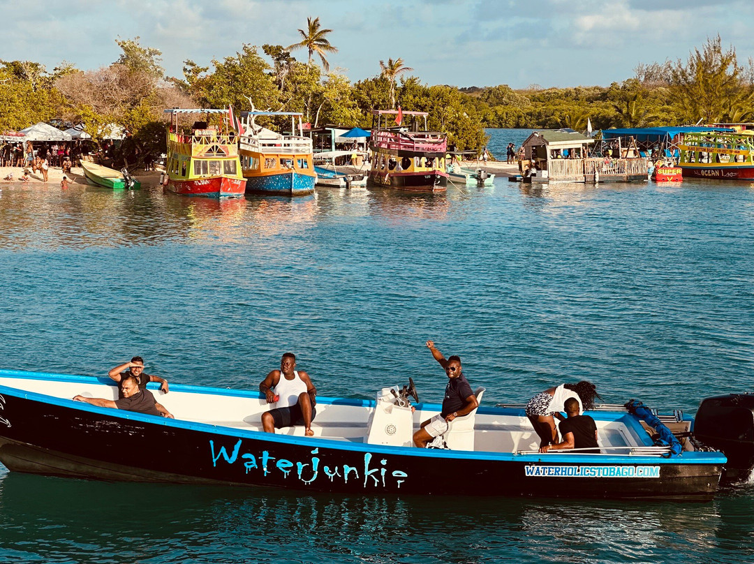 Splash Sports Catamaran Cruises-斯卡伯勒必去景点