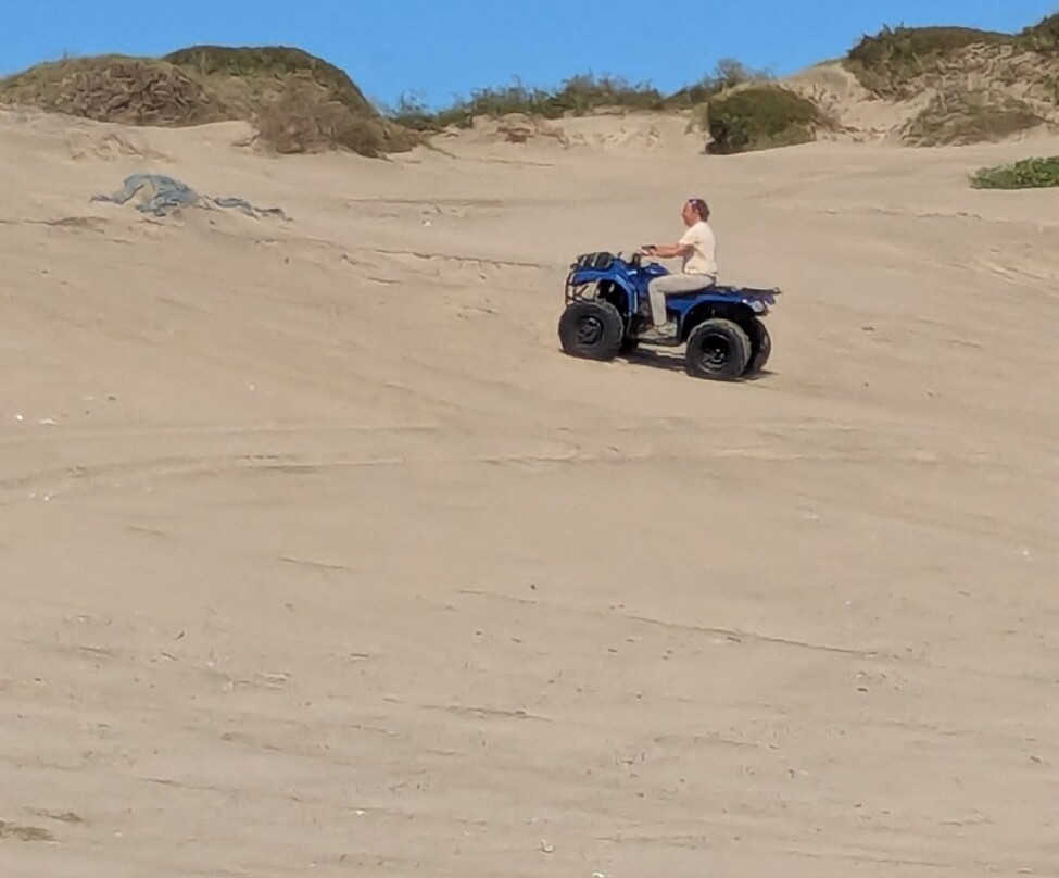 Tuatua Rentals-Ahipara必去景点