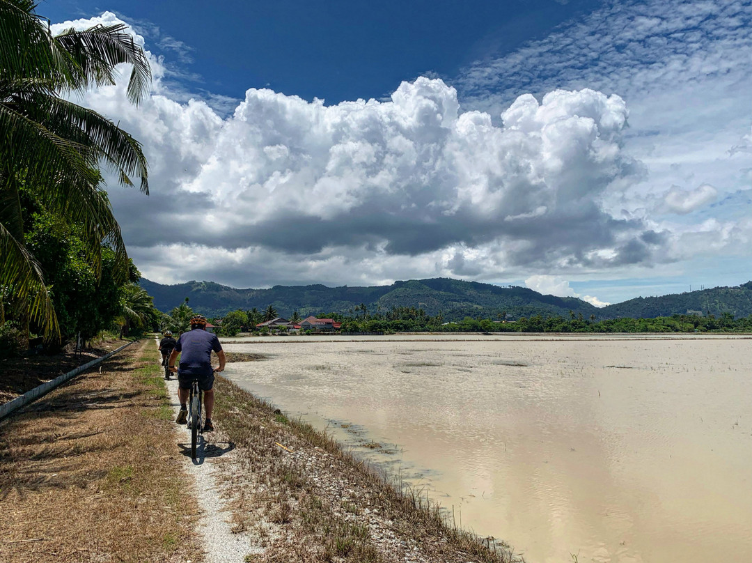 Matahari骑行之旅-乔治城必去景点