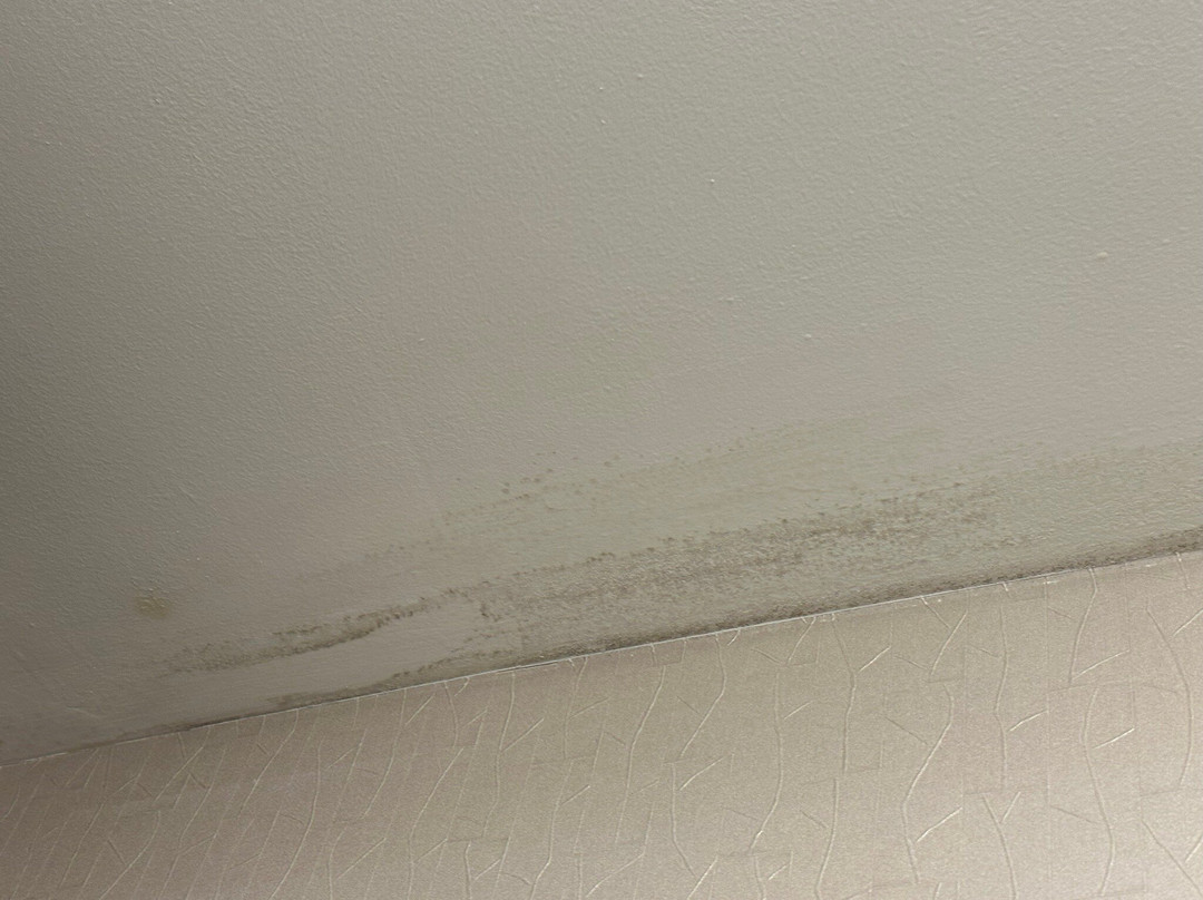 SpringHill Suites by Marriott Cleveland Solon主图