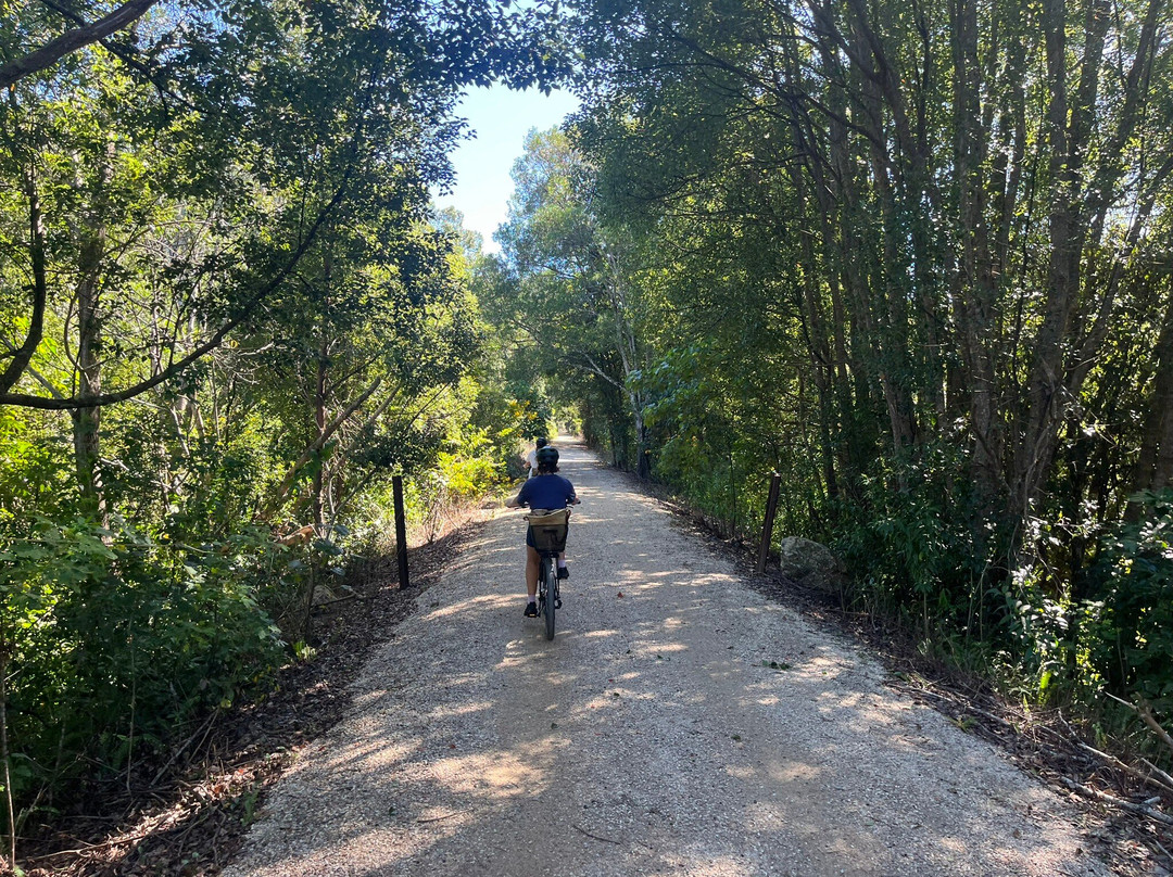 Northern Rivers Cycles And Bike Hire-Mooball必去景点