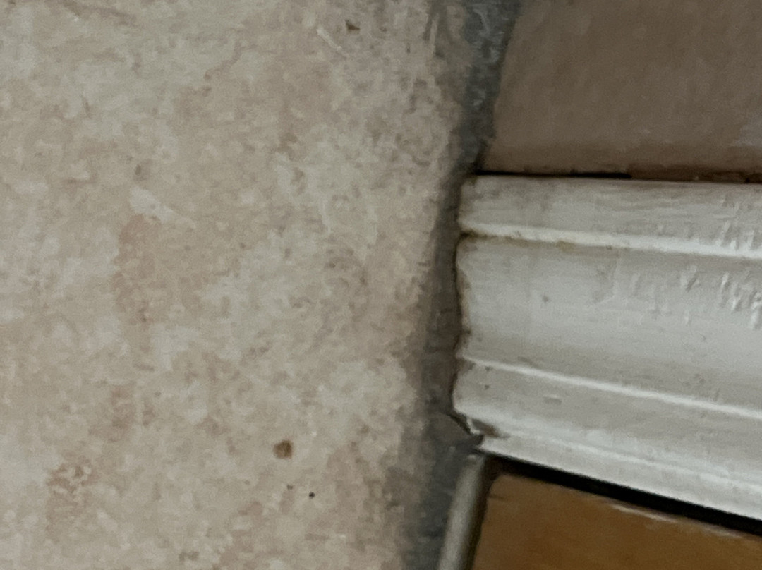 Super 8 by Wyndham Acworth/Atlanta Area主图