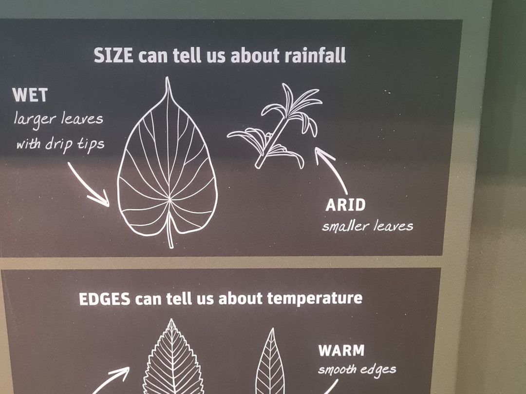 伯克自然历史和文化博物馆-西雅图必去景点