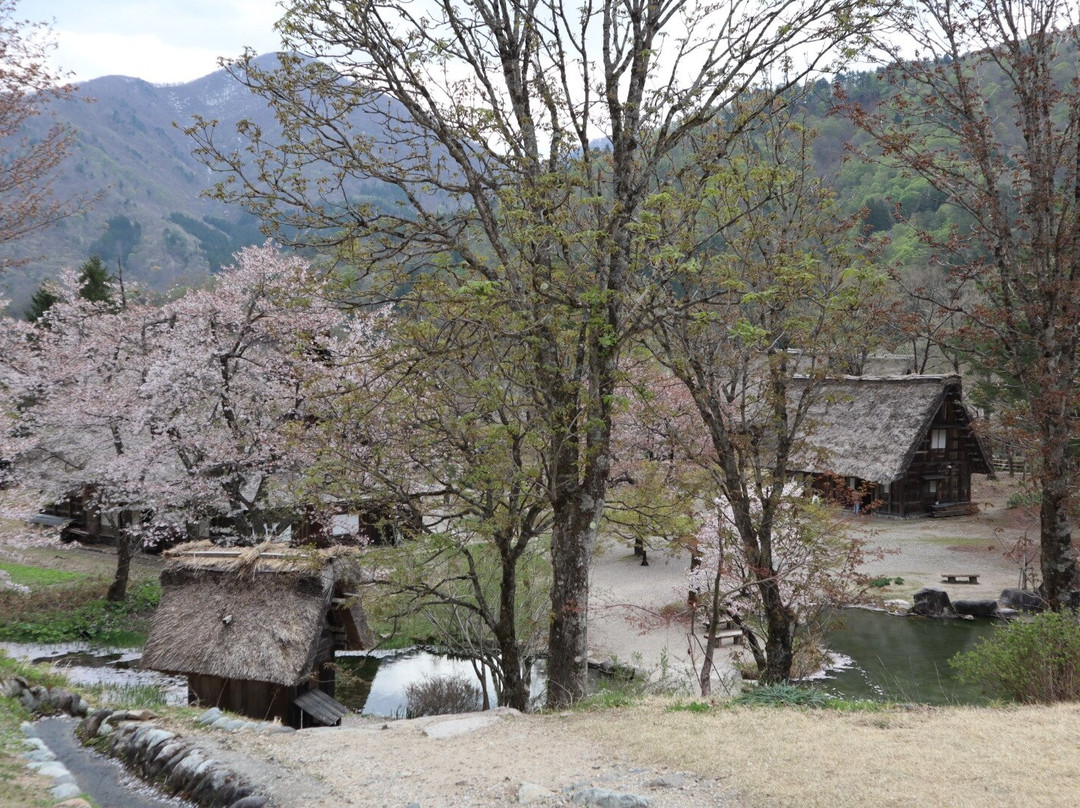 Shirakawago Gassho Zukuri Minkaen-白川村必去景点