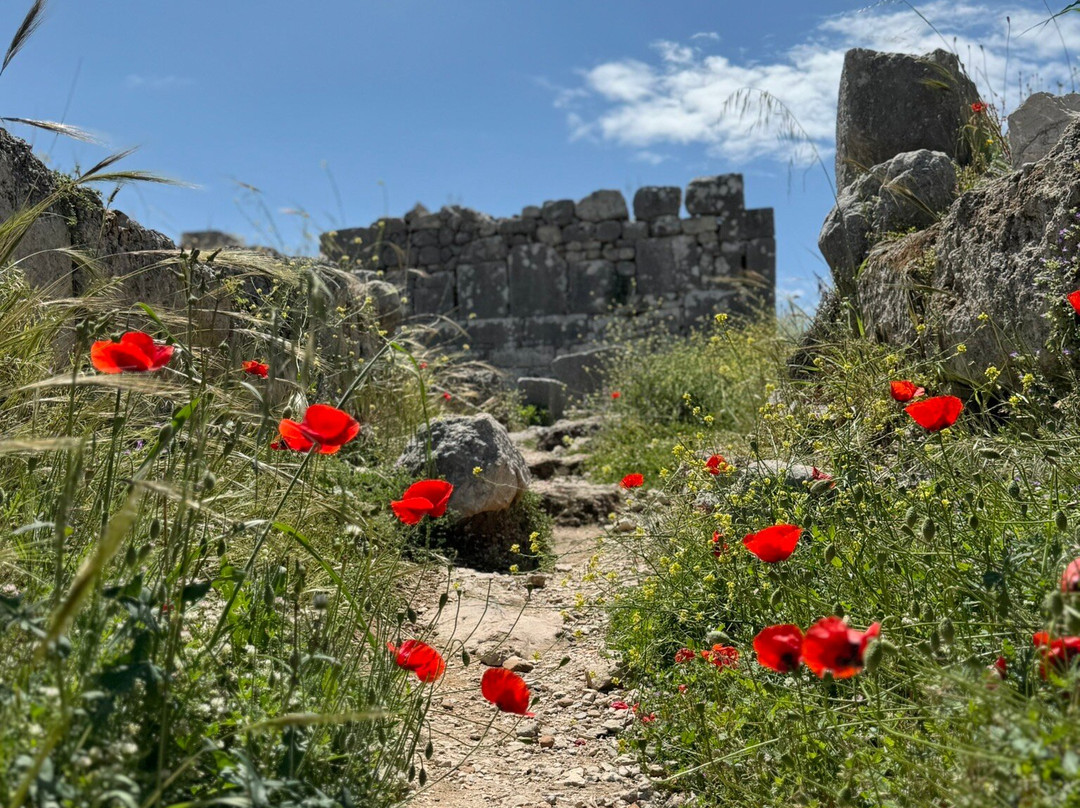 Xanthos Antik Kenti景点图片