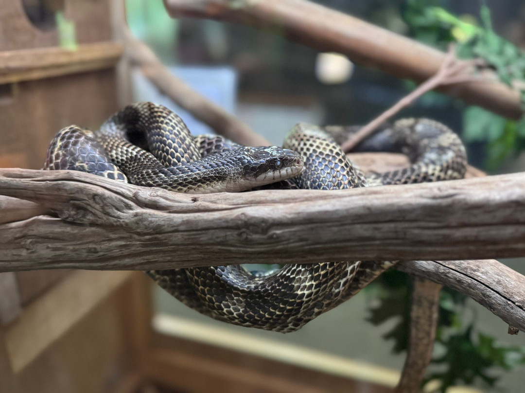 Salato Wildlife Education Center-法兰克福必去景点