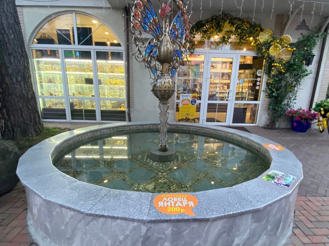 Peacock Fountain-斯韦特洛戈尔斯克必去景点