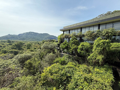 Travel With Tissa-康提必去景点