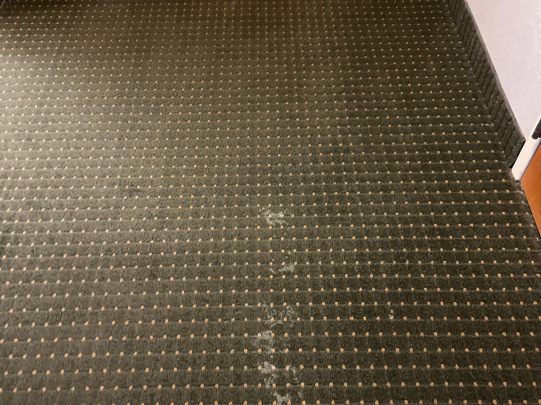 Hampton Inn Sidney主图