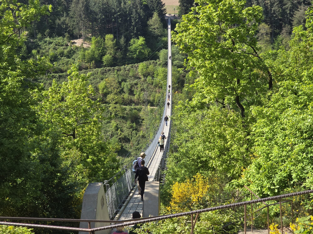Hangeseilbrucke Geierlay-Moersdorf必去景点