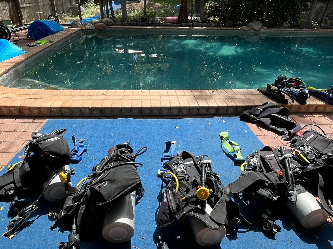 Pleasure Divers Magnetic Island景点图片