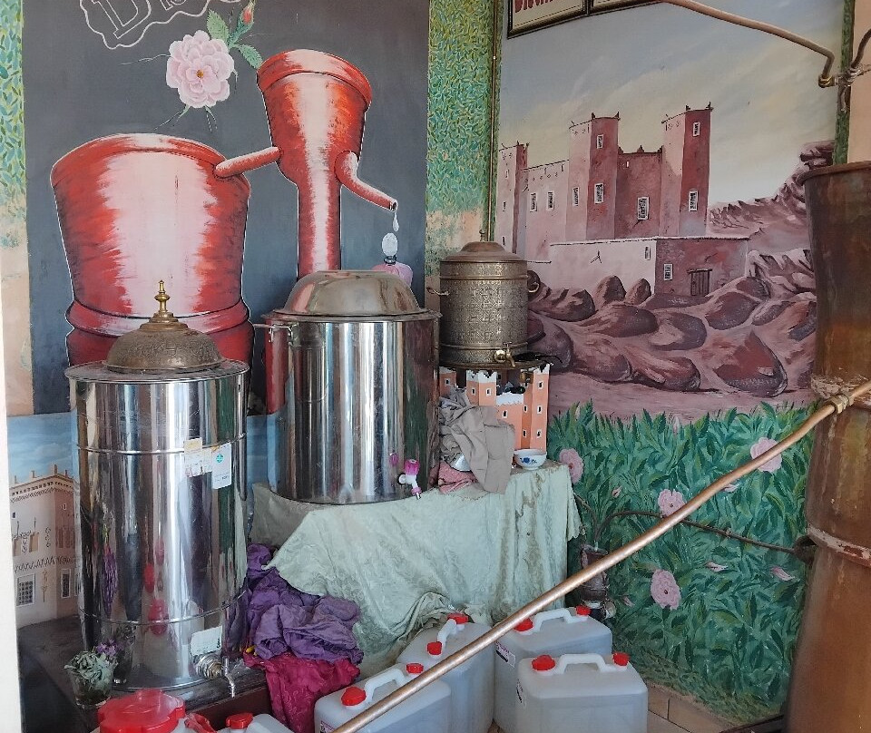 Vallée Des Roses-厄尔克拉莫戈纳必去景点