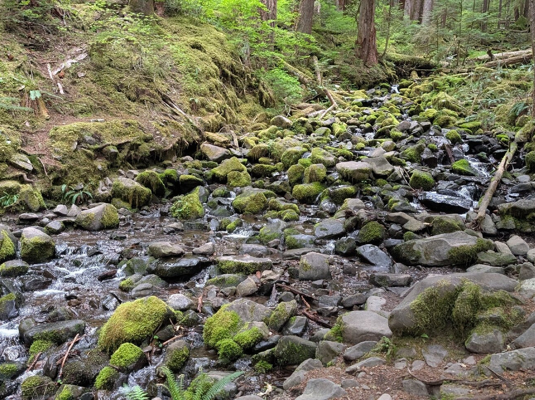 Sol Duc Falls-奥林匹克国家公园必去景点
