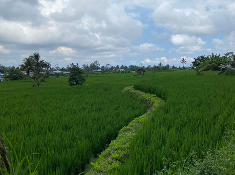 Hai Bali Cycling Tour-坦帕克西林必去景点